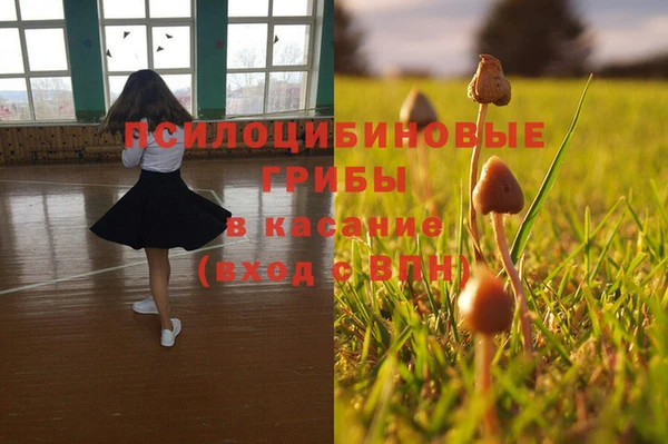 скорость Новокубанск