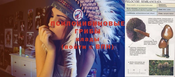скорость Новокубанск