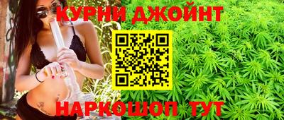 трава Кингисепп