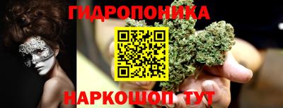 трава Кингисепп