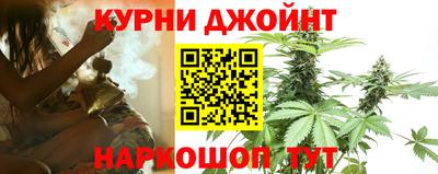 трава Кингисепп