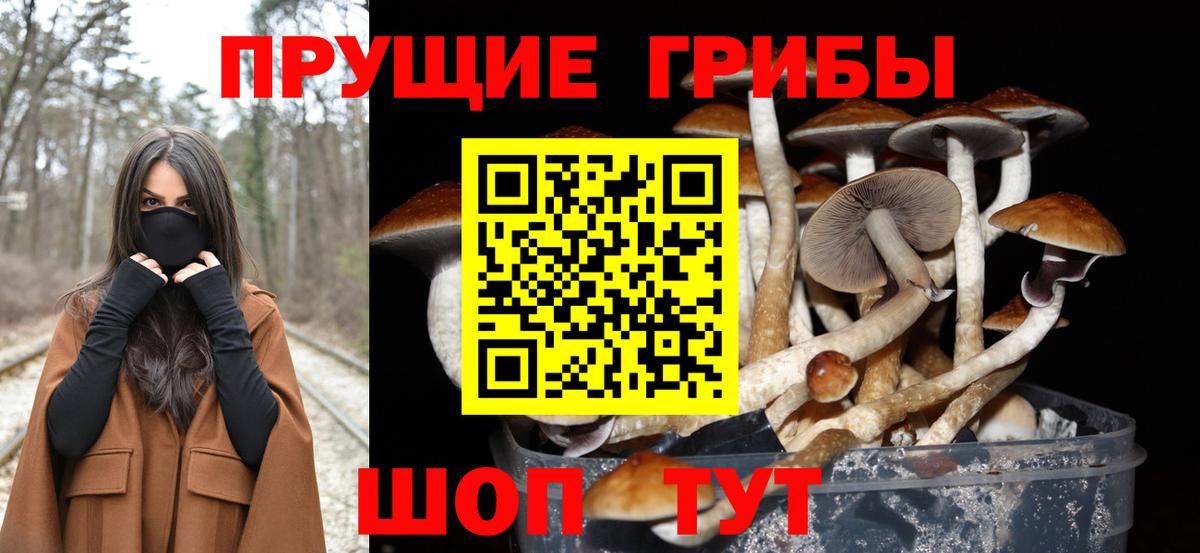 Псилоцибиновые грибы Magic Shrooms Семилуки