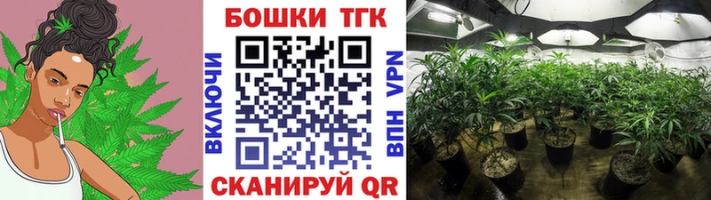 продажа наркотиков  Семилуки  мега онион  Конопля марихуана 